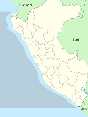 red-billed_tropicbird - 