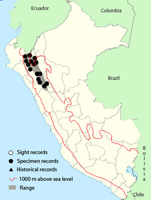 andean_emerald