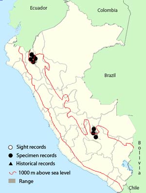 red-crested_finch-map