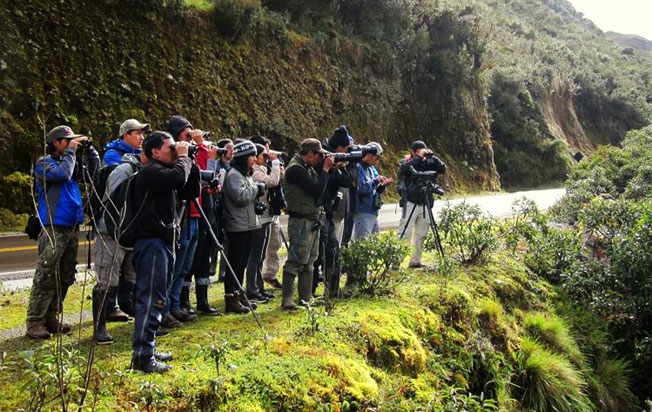  observación de aves
