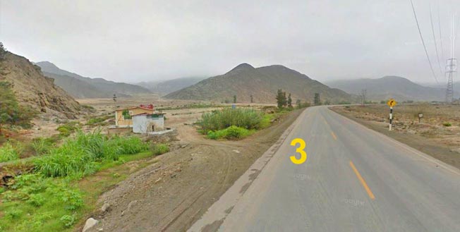 canastero de los cactus_lomas de lachay