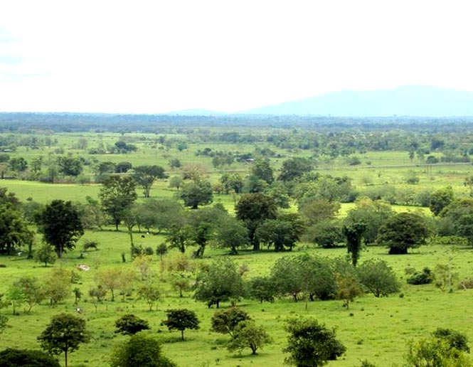 pastos y tierras agrícolas