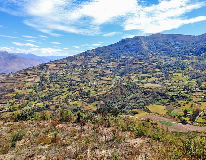 pasturas y tierras agrícolas