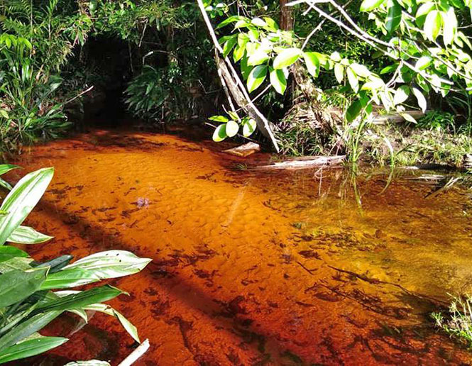 orillas de arroyo