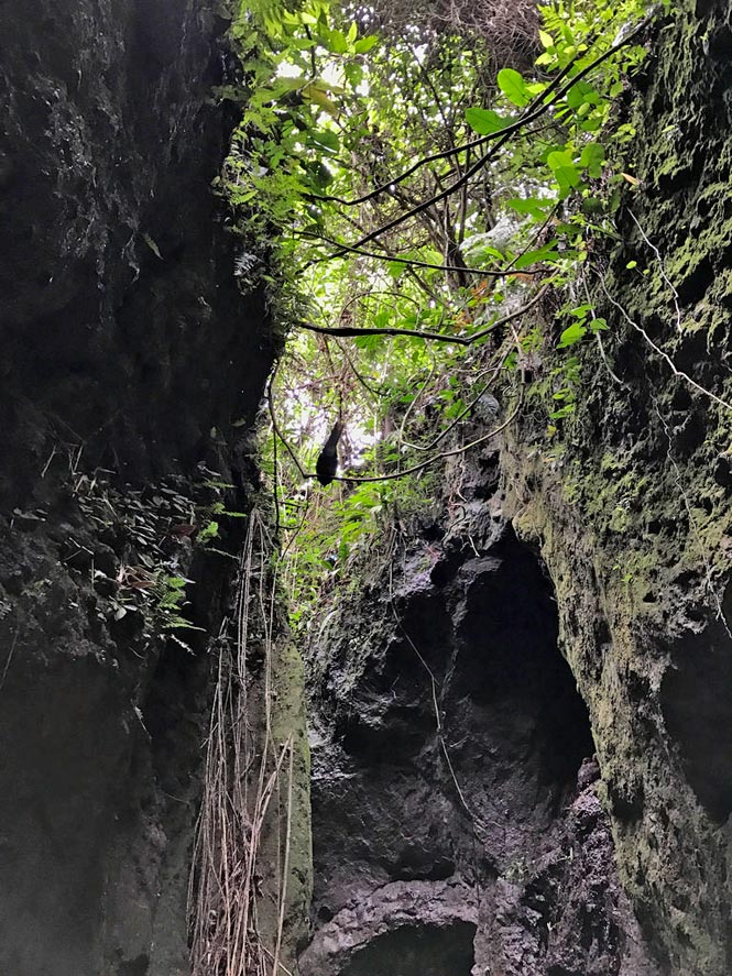 paredes rocosas y cuevas