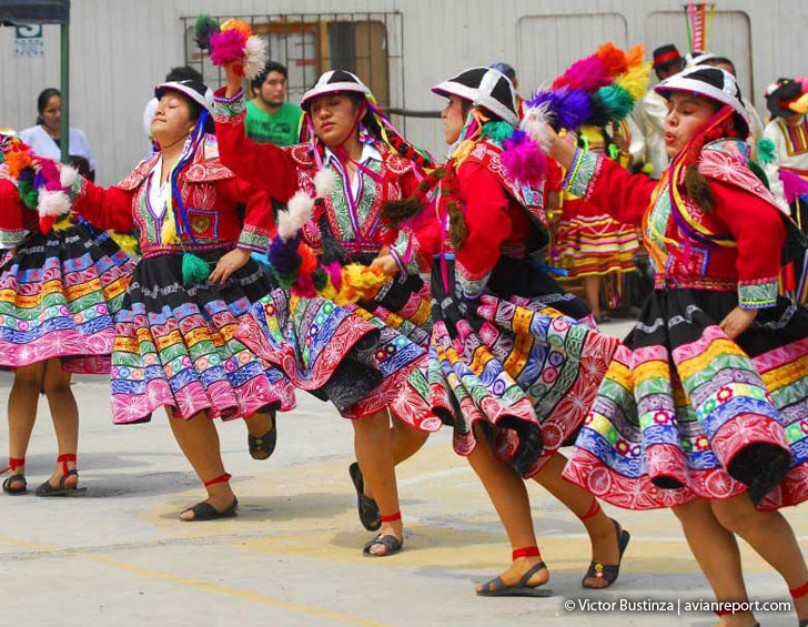 danzas andinas