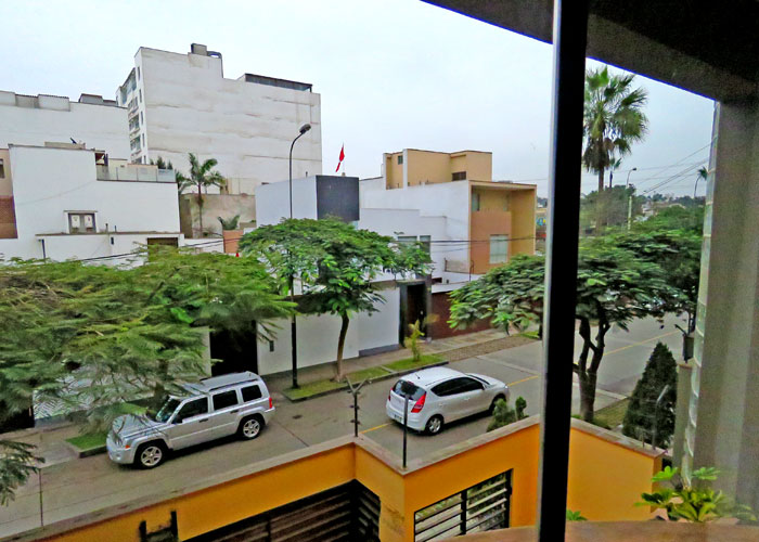habitats urbanos aves
