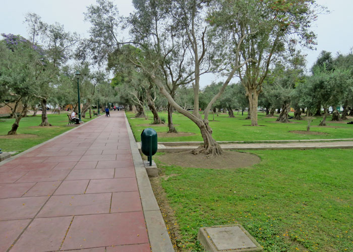parque urbano aves