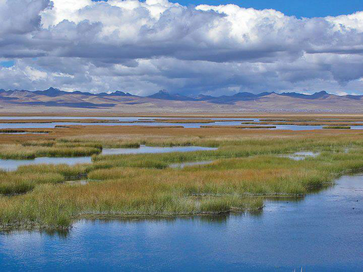 lago junin