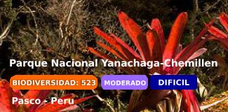 parque nacional yanachaga-chemillen