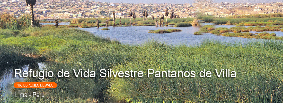 refugio-de-vida-silvestre-Pantanos-de villa