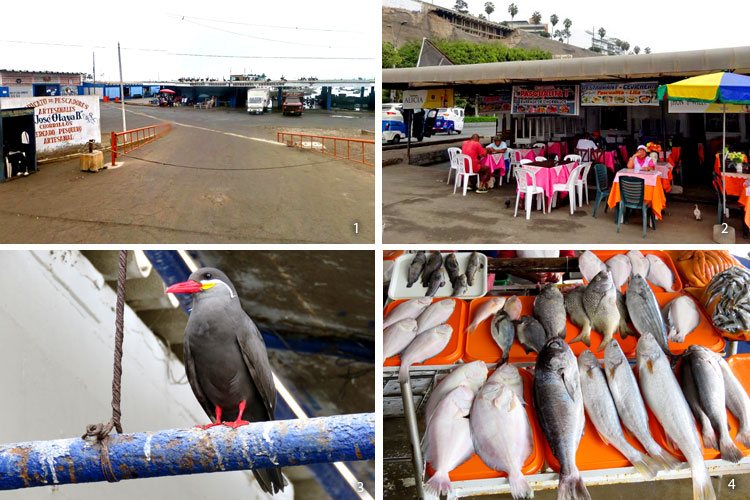 terminal pesquero de chorrillos