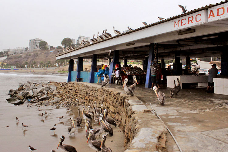 terminal pesquero de chorrillos