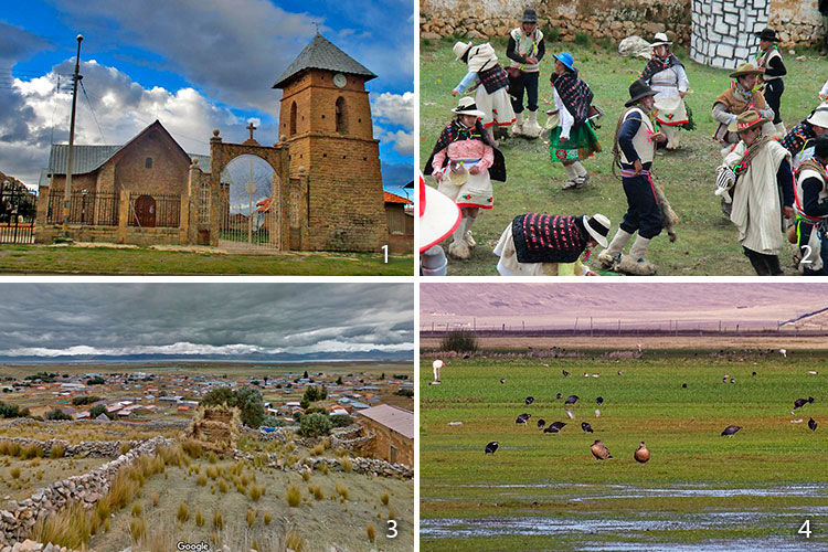 reserva nacional de junin