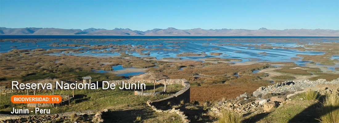 reserva nacional de junin