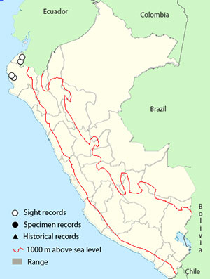blue-black_grosbeak-map