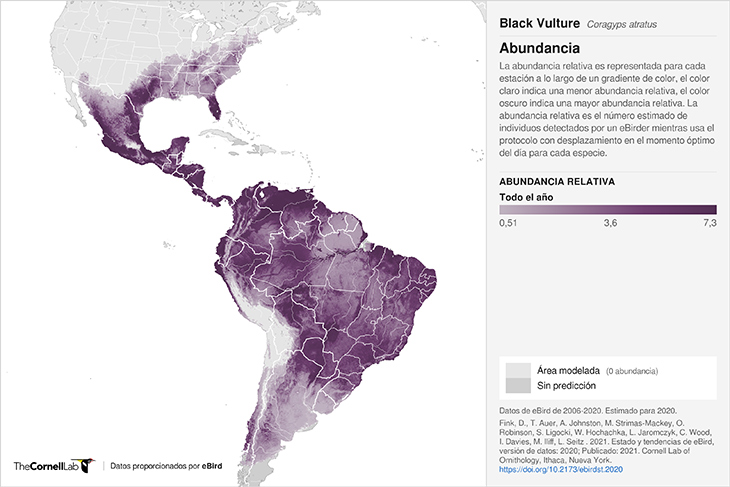 distribución jote de cabeza negra