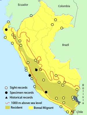 mapa_halcon_peregrino